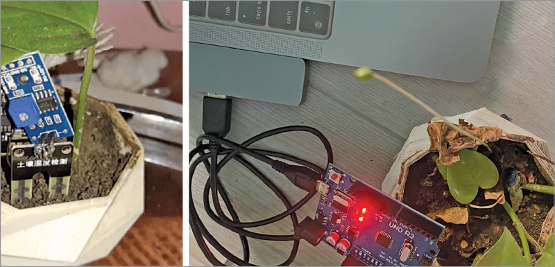 Soil sensor in pot and Arduino connected to laptop USB for data transfer